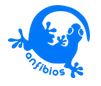SKD Anfibios — fábrica de trajes de baño en Coyoacán CDMX