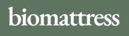 Logotipo de Bio Mattress